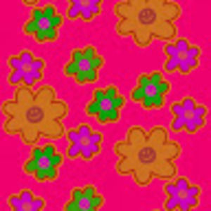 Meet your Posher, Laceyy